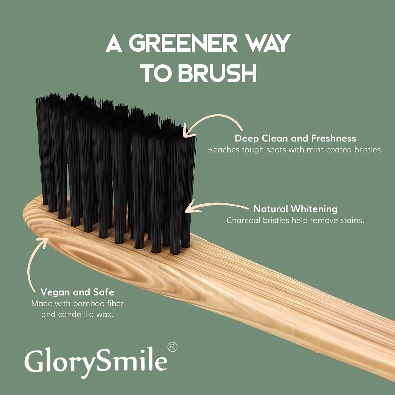 Cepillos de dientes de bambú p - Bamboo Toothbrush Set reseña y precio